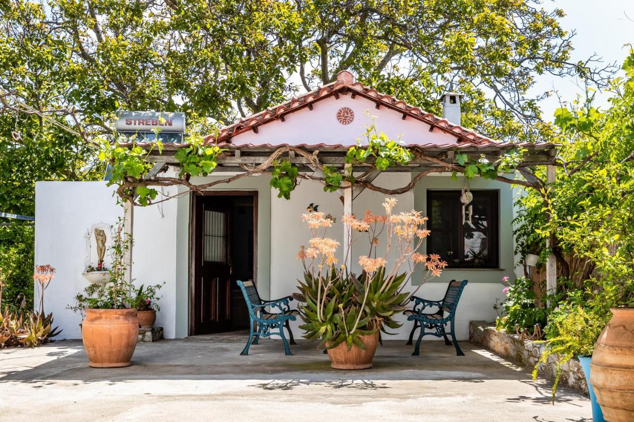Yianna Cottage Studios Skopelos stad Exteriör bild